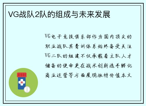 VG战队2队的组成与未来发展