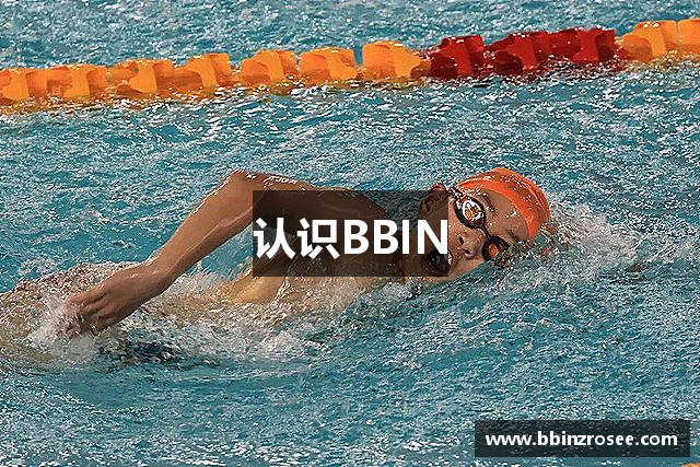 认识BBIN
